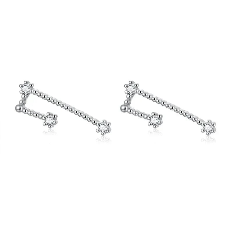 12 Constellations Zodiac Sign Earrings for Women Taurus