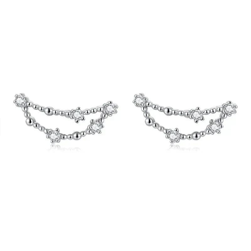 12 Constellations Zodiac Sign Earrings for Women Capricorn