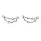 12 Constellations Zodiac Sign Earrings for Women Capricorn