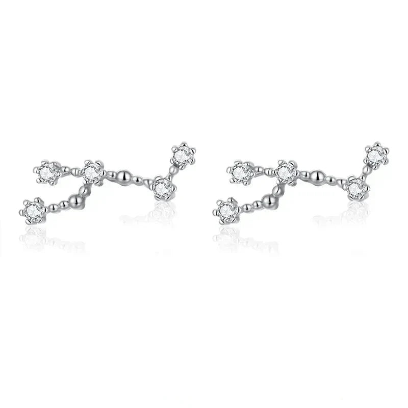 12 Constellations Zodiac Sign Earrings for Women Leo
