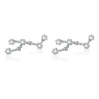 12 Constellations Zodiac Sign Earrings for Women Leo