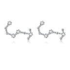 12 Constellations Zodiac Sign Earrings for Women Scorpio