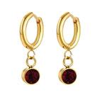 Birthstone Zircon Hoop Earrings