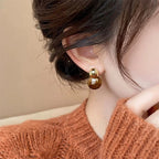 Tiger's Eye Protection Drop Earrings
