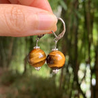 Women's Dangle Earrings Tiger's Eye
