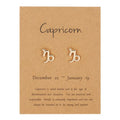 Zodiac Sign Earrings 12 Constellations Capricorn