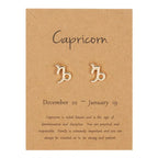 Zodiac Sign Earrings 12 Constellations Capricorn