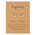 Zodiac Sign Earrings 12 Constellations Aquarius